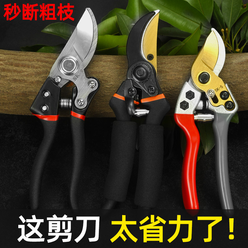 园艺剪刀果树修枝专用花图片