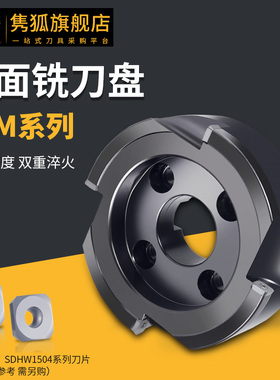 铣平面利器 黛杰镜面刀盘FJM200精铣刀盘配刀片SDHW1504 BT50刀柄