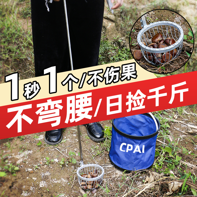 捡板栗神器免弯腰子核桃