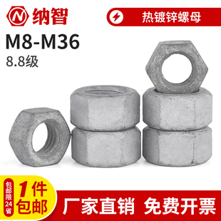 8级热镀锌六角螺母热浸锌螺帽扩孔螺母M8M10M12M14M16M18M20M24