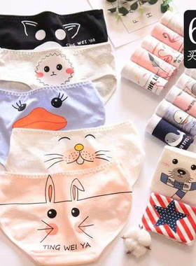 5Pack Women's Sexy Underwear -Lace Band Cotton Thong Panties