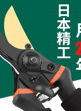 园艺剪修剪树枝专用剪刀果树修枝剪高枝剪刀家用树木花卉修枝剪刀