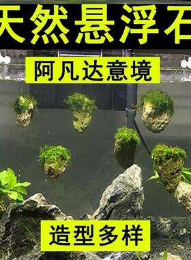 莫斯浮石鱼缸造景阿凡达