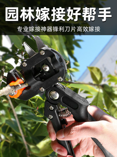 德国原装嫁接专用刀果树
