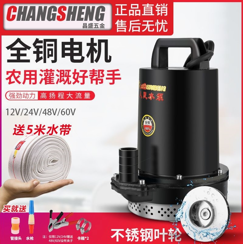 德国进口上海人民直流潜