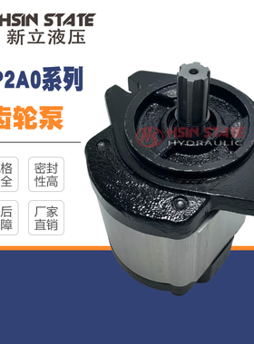 齿轮泵BHP2A0D14H2Z13-R/BHP2A0D16/D20/D25/D28/D36/D10后进后出