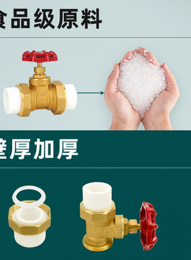 全铜闸阀ppr管PE管自来水管阀门开关4分20管6分25双活接1寸32热熔