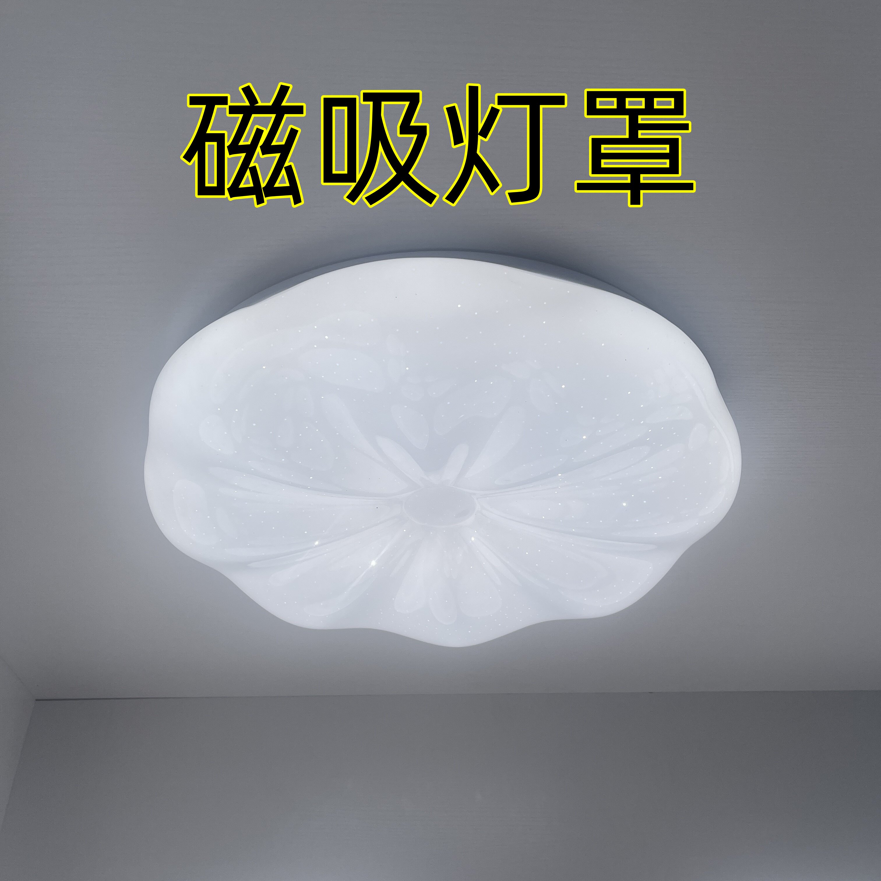 磁吸灯罩透光板套件灯罩外壳吸顶通用亚克力磁吸圆形替换卧室老式