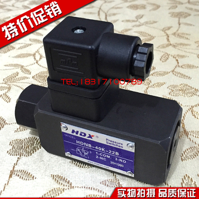 台湾海德信压力继电器 油压开关DNB-040K/070K/150K/250K-06i 22B