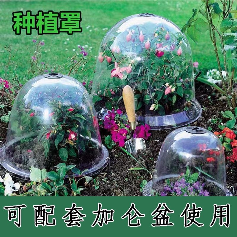 植物防冻罩育苗保温加仑