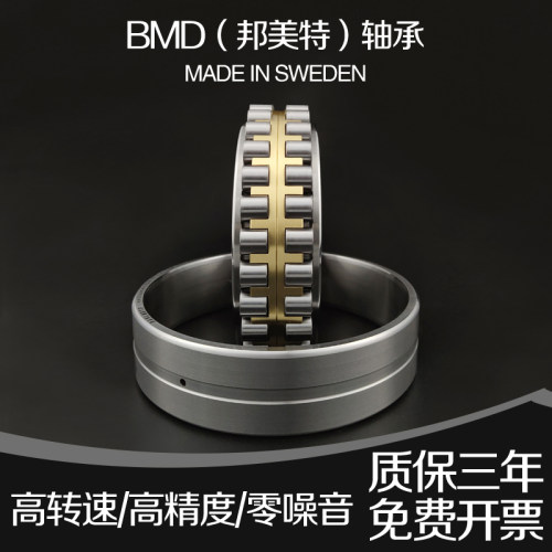 瑞典进口双排圆柱滚子轴