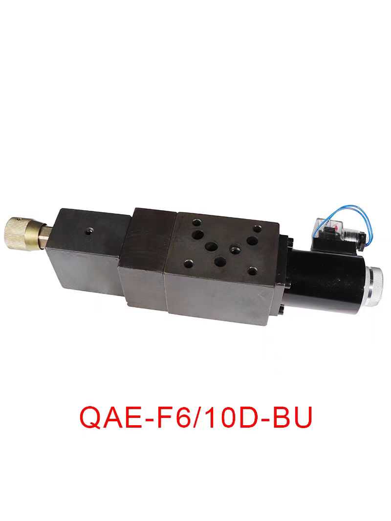 电动单向调速阀QAE-F6/10D-A / AU QAE-F6/10D-BU Q-D6B QA-F6D