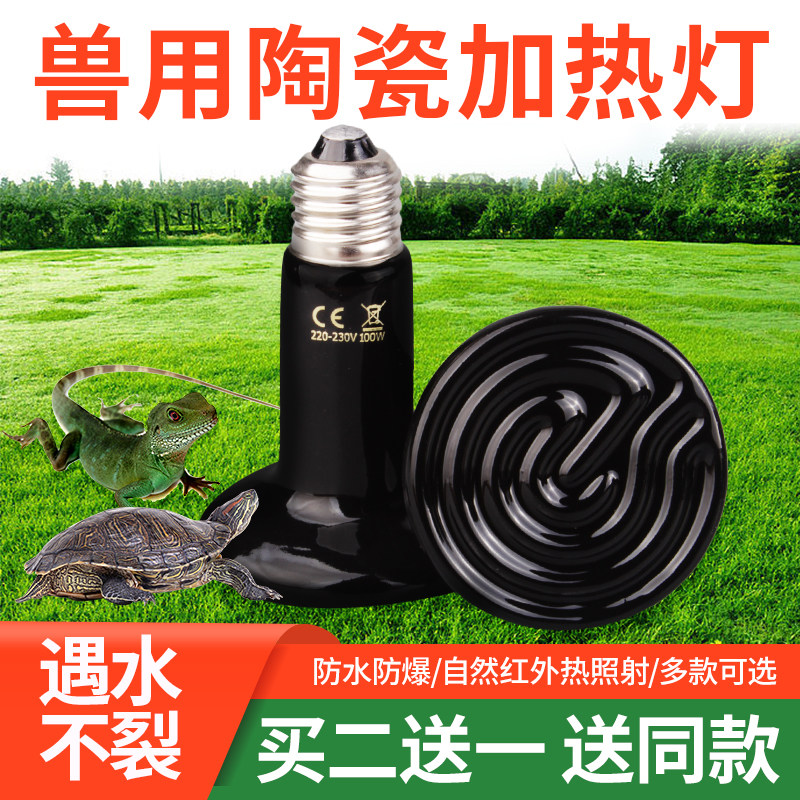 陶瓷加热灯爬虫宠物加热无光灯陆龟蜥蜴晒背保温灯泡鹦鹉温控夜灯,鲜花速递/花卉仿真/绿植园艺,洒水/浇水壶,淘宝优惠券,粉丝福利购,淘宝优惠卷