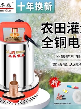 德国进口名磊直流潜水泵