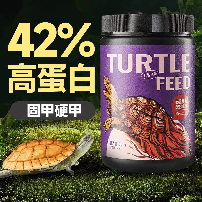 石金钱龟粮饲料巴西中华图片