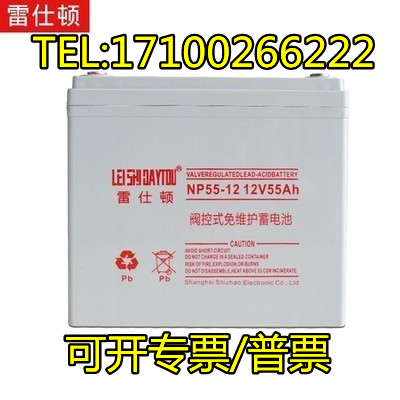 LEISHIDAYTOU雷仕顿蓄电池NP55-12免维护12V55AH后备机房UPS/EPS