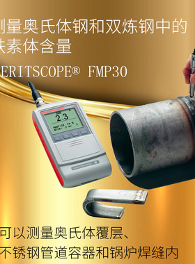 德国 FMP30铁素体测量仪奥氏体钢和双相钢中铁素体含量检测测定仪
