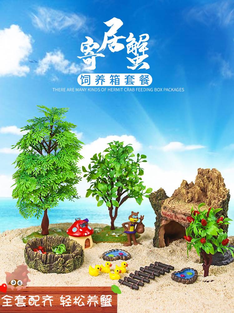 寄居蟹新手懒人套餐儿童