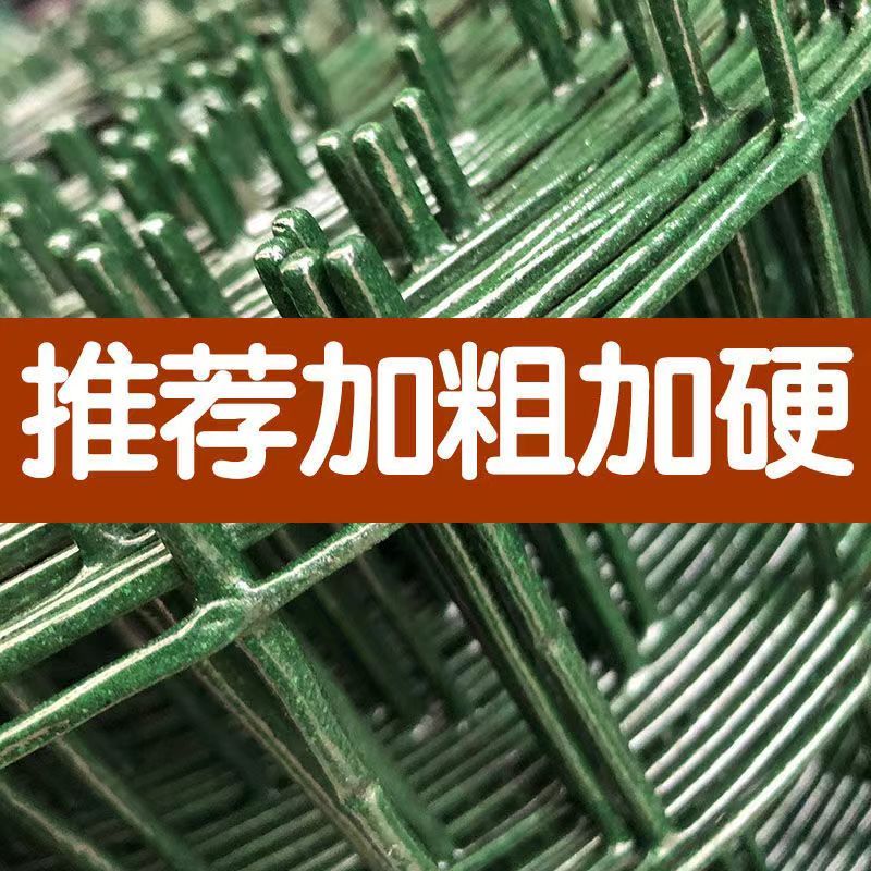 硬塑荷兰网养殖网家用防护网铁丝网果园围栏网护栏隔离网防锈加粗