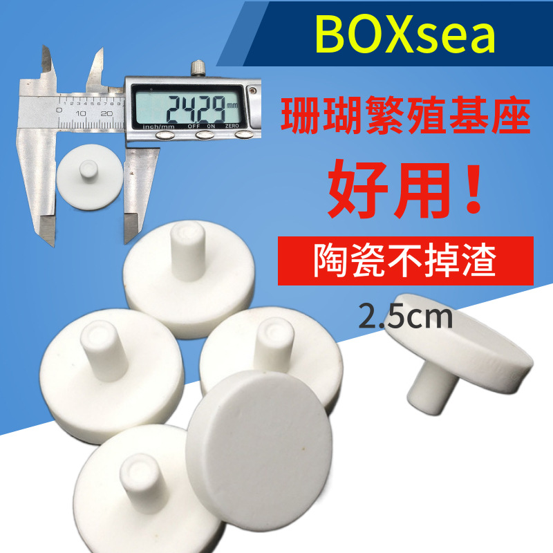 BOXSEA珊瑚繁殖基座sps断支白陶瓷底座T型软体纽扣珊瑚繁殖基座