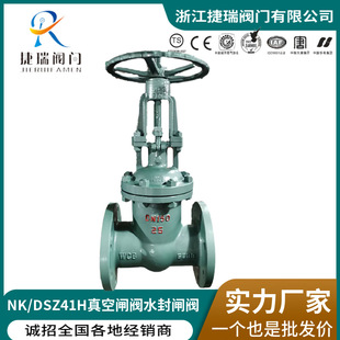 16C 25国标明杆铸钢法兰手动水封阀门真空闸阀 41H DKZ61
