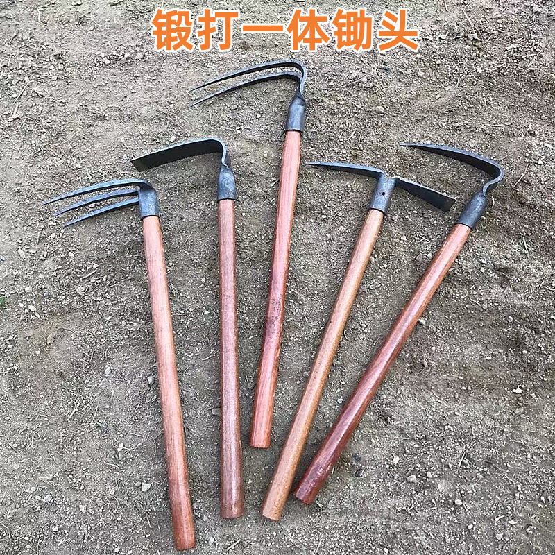 园艺工具木柄园林小锄头除草种菜挖地翻地松土挖笋尖锄赶海小耙子,鲜花速递/花卉仿真/绿植园艺,洒水/浇水壶,淘宝优惠券,粉丝福利购,淘宝优惠卷