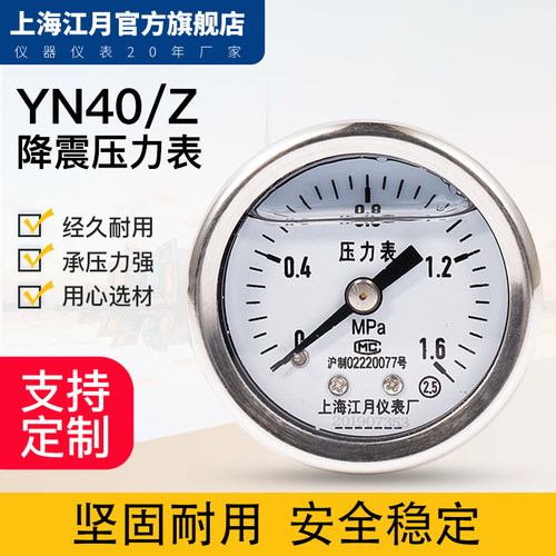 上海江月轴向型耐震表真