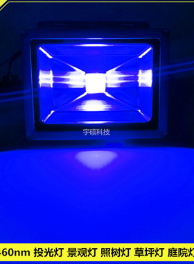 LED蓝色射灯30W投光灯20W高亮照树草坪灯50W庭院灯蓝光背景灯足瓦
