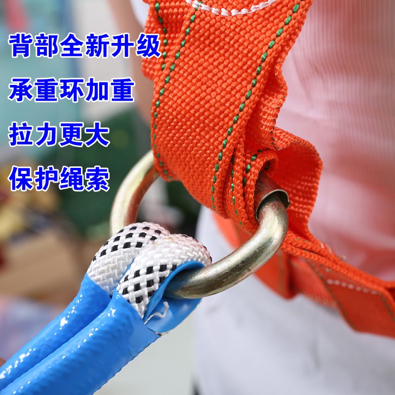 德国进口标五点式安全带