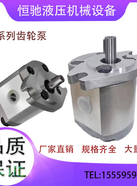 齿轮泵P101/P102/P104/P105/P106/P107/P109/P127/P135RP01GT油泵