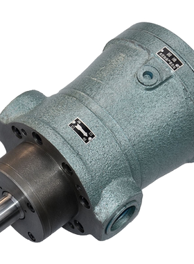 新款16MCM 32MCM 80MCM 100MCM 250MCM 400MCM14-1B轴向柱塞包邮