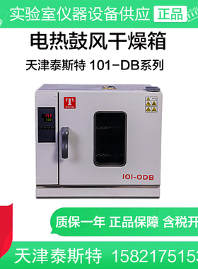 天津泰斯特101-0DB/1DB/2DB/3DB电热鼓风干燥箱高温烘箱烤箱 定制