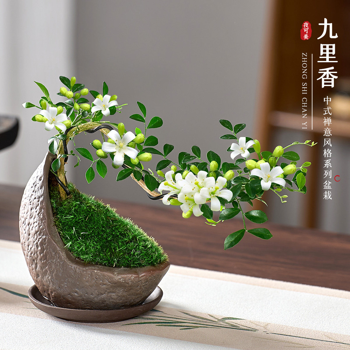 飘枝小叶九里香盆栽悬崖造型盆景室内茶几玄关绿植易活花卉小植物