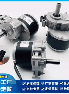 羚鹰直流有刷低速二级减速电动车电机24V250W轮椅电机120/75转