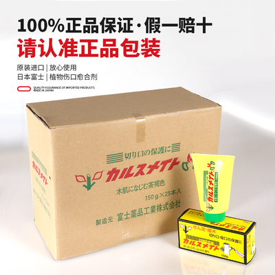 日本原装进口富士植物果