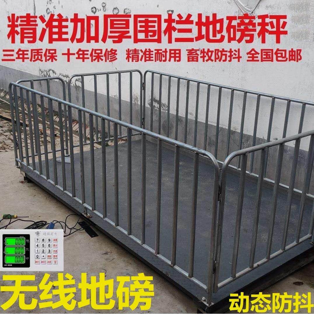 德国进口无线地磅秤称猪电子秤秤牛地磅称猪用电子地磅秤家用围栏