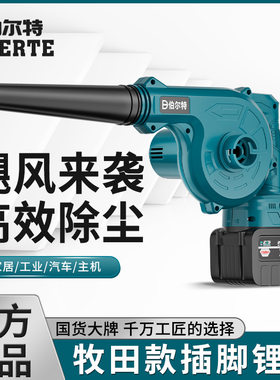 工地充电式两用外贸吹风