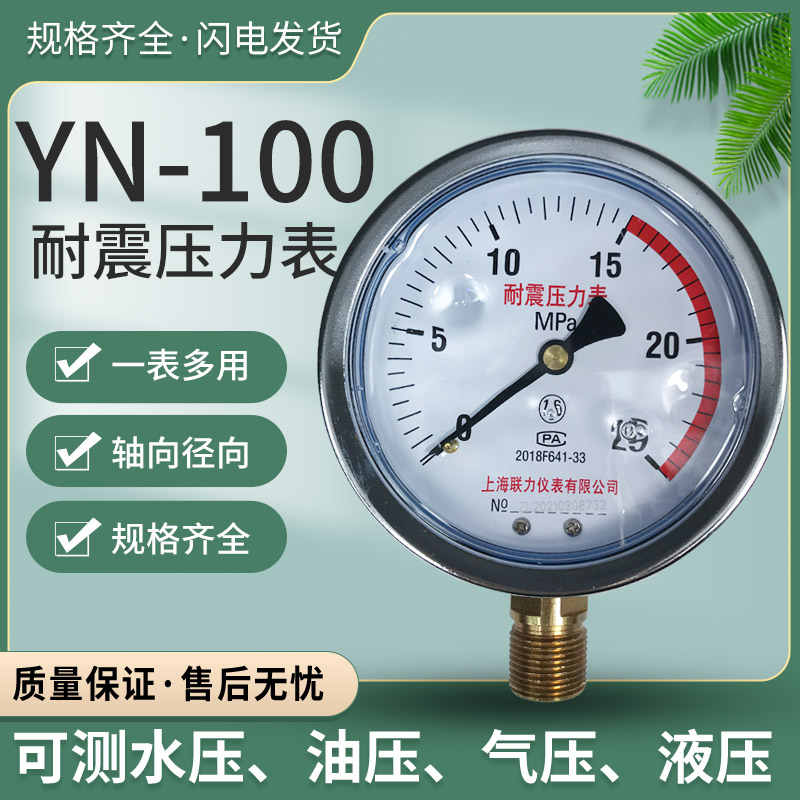 耐震压力表YN-100不锈钢气压表水压表油表压水管打压0-1.6/2.5MPa
