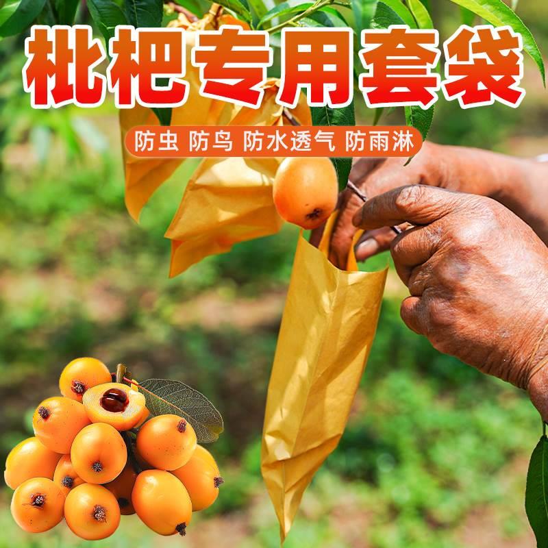 枇杷专用套袋防虫套树上的牛皮纸袋水果防鸟袋单层白色果袋保护袋图片