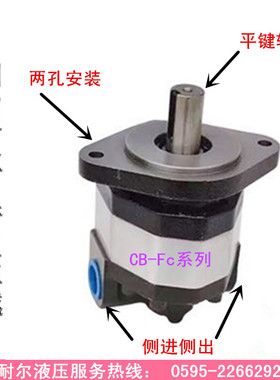 齿轮油泵CB-FC25 CB-FC10 CB-FC40 CB-FC32 CB-FC20/FC50/FC16-FL