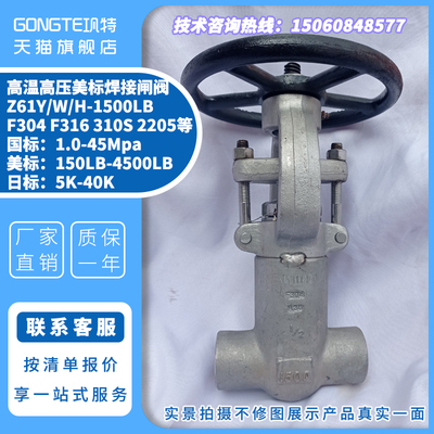 高温高压美标焊接闸阀Z61W/Y/H CL1500 2500LB对焊承插焊304 316