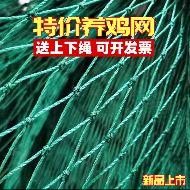 鸡网养围尼龙安全护栏殖