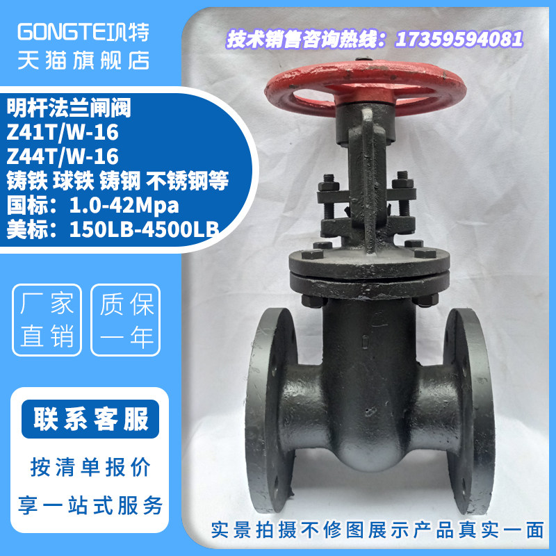 铸铁明杆法兰闸阀z41t