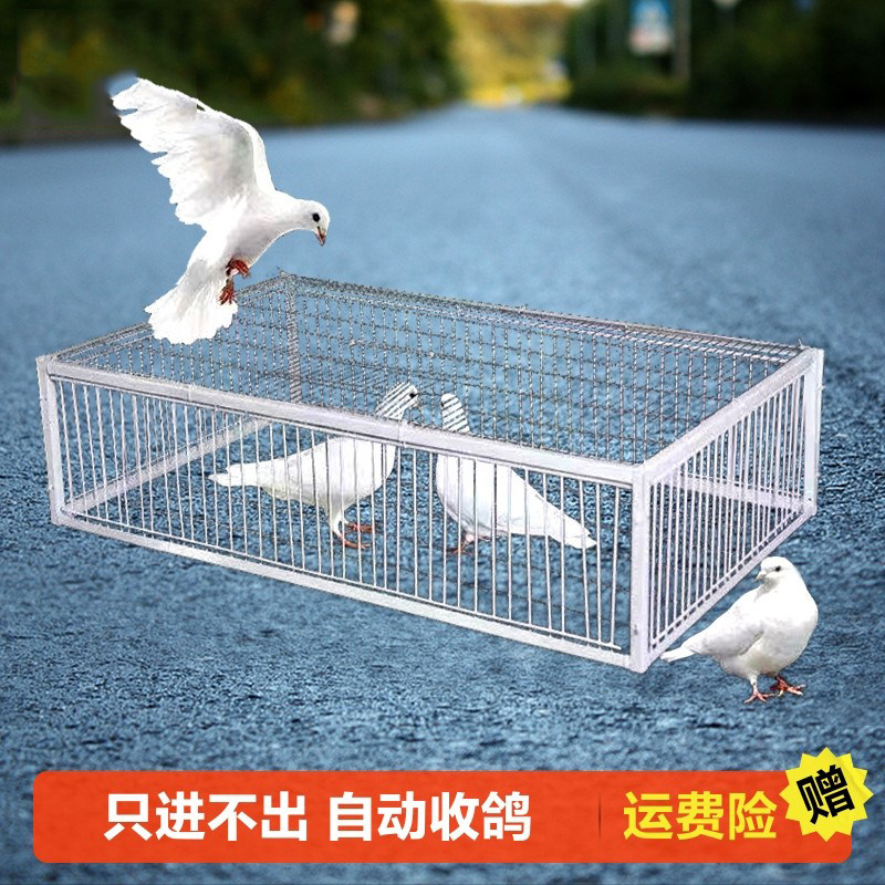 鸽子回收笼只进不出自动收鸽子神宠物鸡/鸭/鸽笼