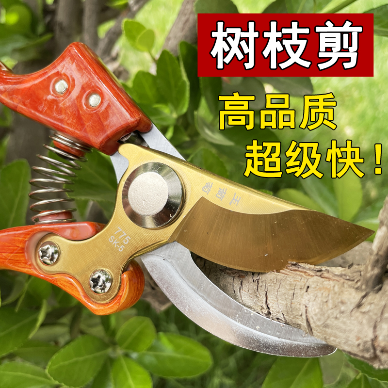 葡萄修枝剪刀园林花艺树