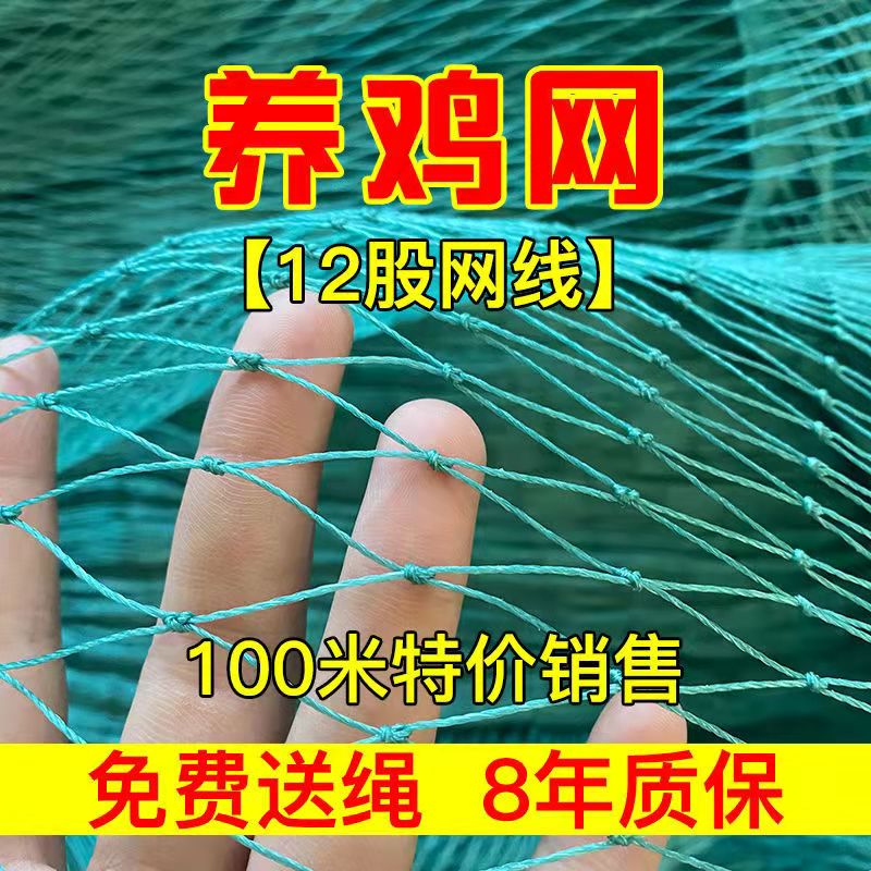 塑料尼龙网养殖安全鸡围
