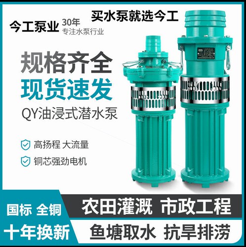 德国进口标油浸式潜水泵