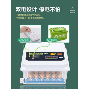 孵化器小型家用智能孵蛋器全自动孵化机芦丁鸡卵化器孵化箱孵蛋a8