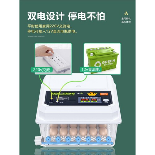 孵化器小型家用智能蛋全
