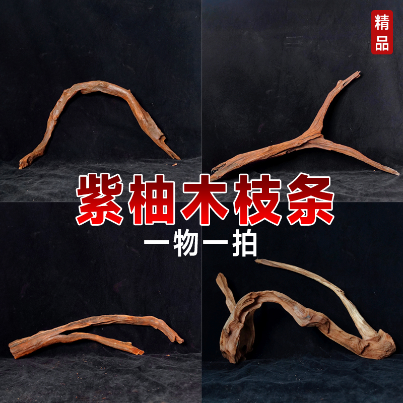 紫柚木枝条沉一物拍南美